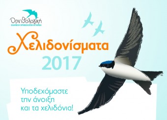 Τα χελιδονίσματα φέρνουν την άνοιξη!!!